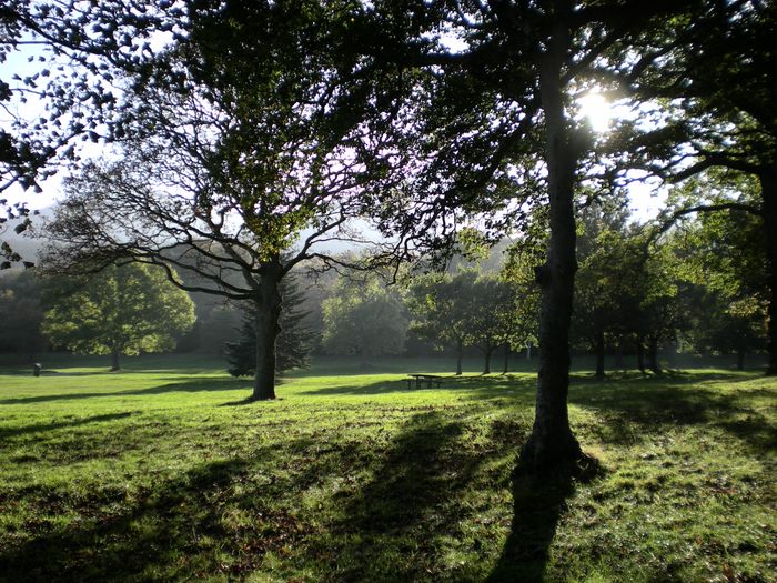 Donard Park at the foot of the mountains
